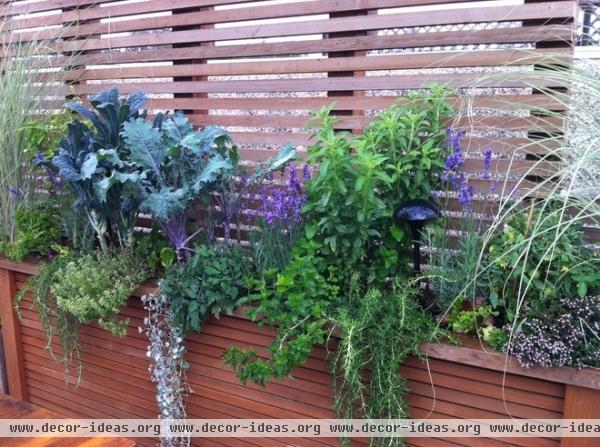 contemporary landscape by Glenna Partridge Garden Design