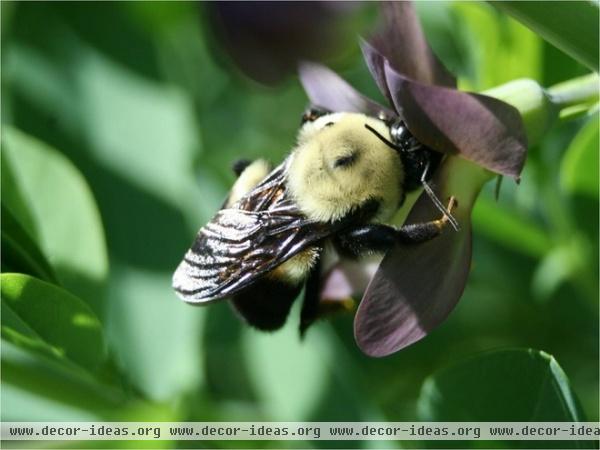 by Benjamin Vogt / Monarch Gardens