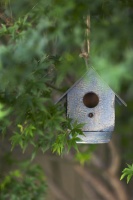 Be a Citizen Scientist to Help Wildlife, Learn and Have Fun Too