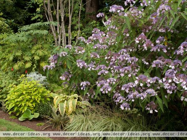 landscape by Le jardinet