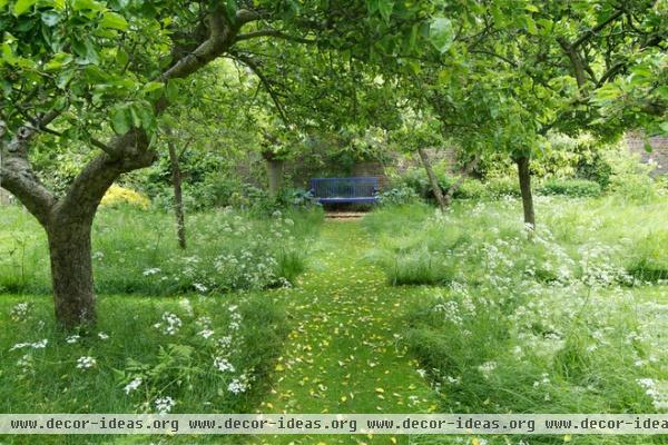 transitional landscape by Todd Haiman Landscape Design