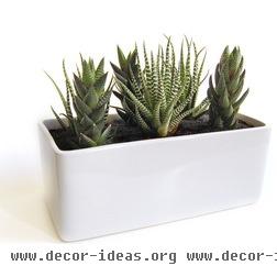 modern indoor pots and planters by LushModern