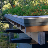 How to Install a Green Roof