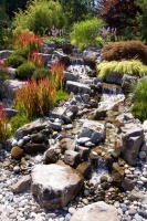 Ditch the Ordinary Ditch: Create a Realistic Dry Creek Bed