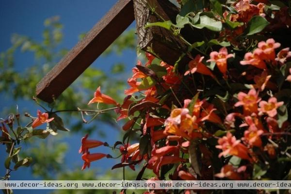 traditional landscape by J. Peterson Garden Design