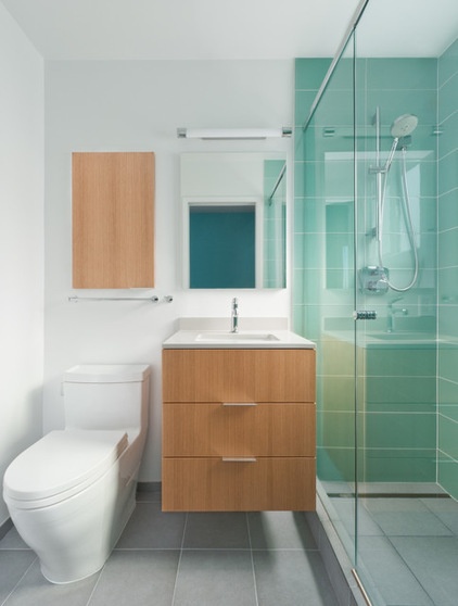 modern bathroom by Lignum Vitae