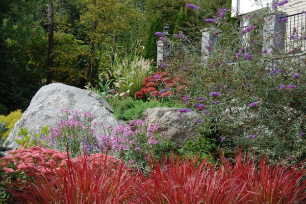 eclectic landscape by Mary-Liz Campbell Landscape Design