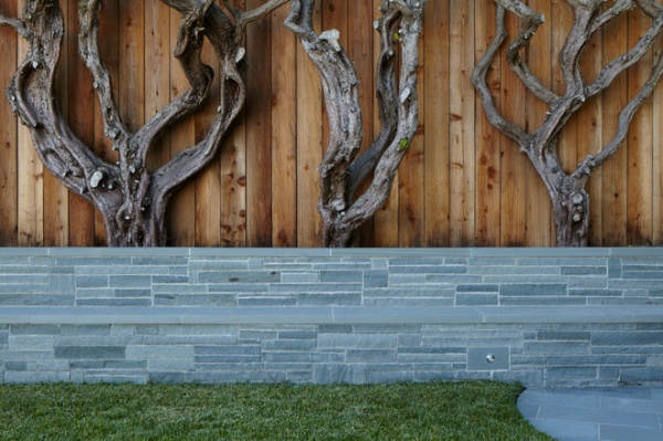 contemporary landscape by Terra Ferma Landscapes