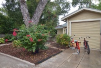 7-Day Plan: Get a Spotless, Beautifully Organized Garage