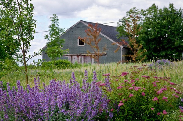 traditional landscape by Matthew Cunningham Landscape Design LLC