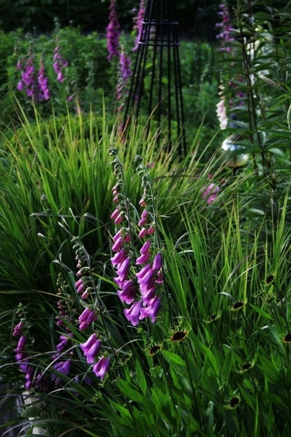 traditional landscape by Laara Copley-Smith Garden & Landscape Design