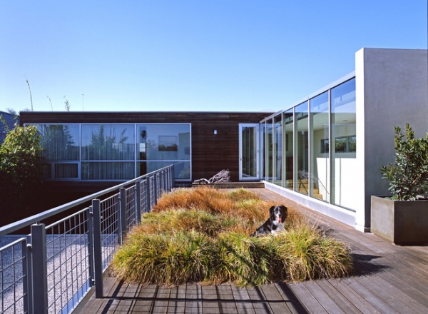 modern deck by Paul Davis Architects