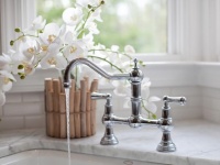 Traditional Nickel Faucet on Marble Countertop : Designers' Portfolio