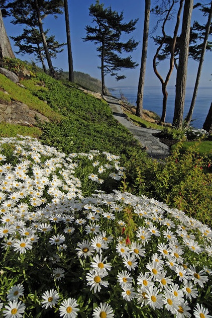 traditional landscape by The Philbin Group Landscape Architecture