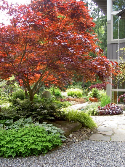 contemporary landscape by Bliss Garden Design