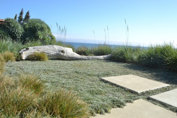 beach style landscape by Jeffrey Gordon Smith Landscape Architecture