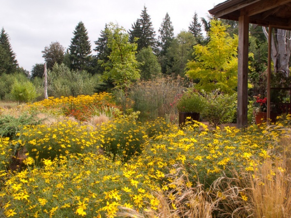 rustic landscape by Le jardinet