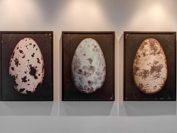 Large Prints of Speckled Eggs in Eclectic Entryway : Designers' Portfolio