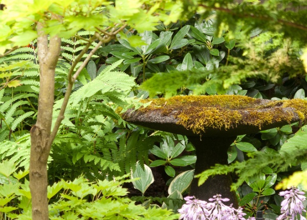 traditional landscape by Le jardinet