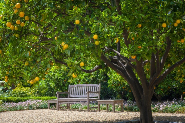 traditional landscape by Terra Ferma Landscapes