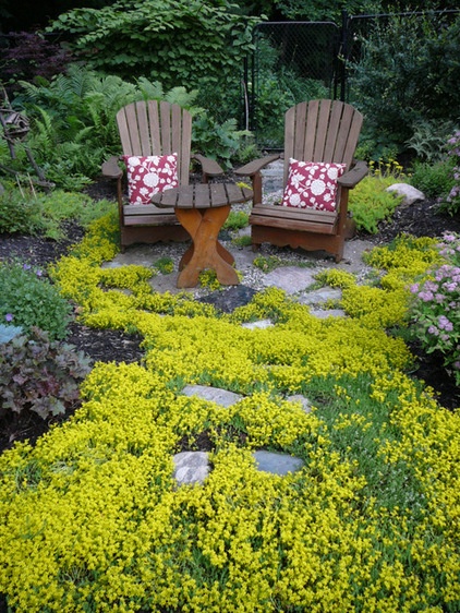 traditional landscape by Candace Mallette Landscape & Garden Design