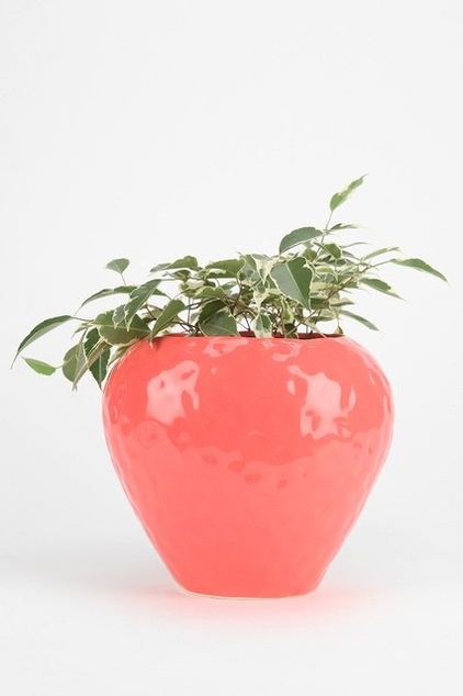 eclectic indoor pots and planters by Urban Outfitters