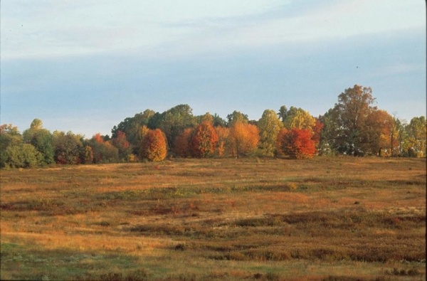 landscape by Longwood Gardens