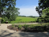 What We Can Learn From Longwood Gardens’ New Meadow