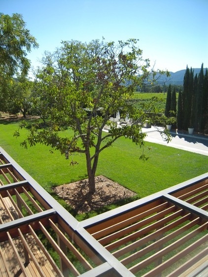 modern landscape by Lorin Hill, Architect