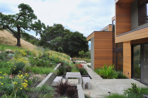 modern landscape by Huettl Landscape Architecture