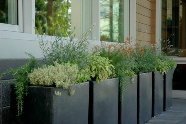 rustic porch by ModernBackyard