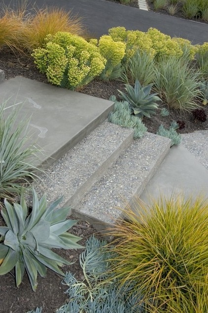 midcentury landscape by Jeffrey Gordon Smith Landscape Architecture