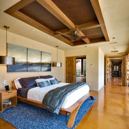 contemporary bedroom by Environmental Dynamics, Inc.