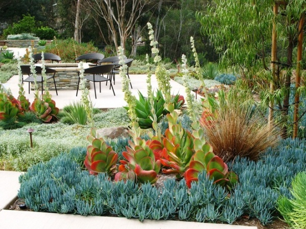 contemporary landscape by debora carl landscape design