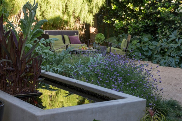 transitional landscape by June Scott Design