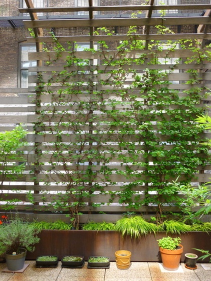 modern patio by Lynn Gaffney Architect, PLLC