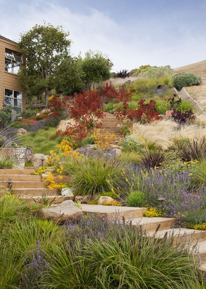 beach style landscape by Arterra LLP Landscape Architects