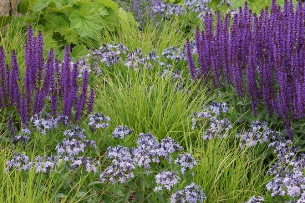 contemporary landscape by Adam Woodruff + Associates, Garden Artisans