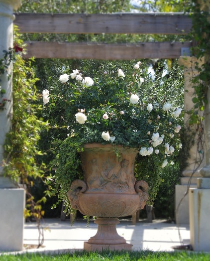 traditional landscape by Margie Grace - Grace Design Associates