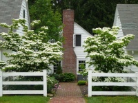 20 Ways to Work White Magic in Your Yard