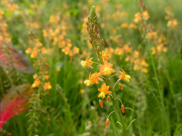 landscape by Le jardinet