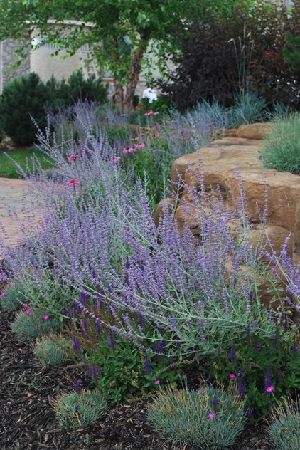 Eclectic Landscape by Jay Sifford Garden Design