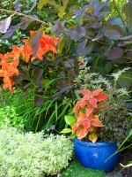 Solve Your Garden Border Dilemmas With Planted Pots