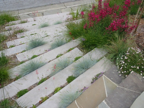 Contemporary Landscape by Huettl Landscape Architecture