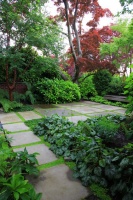 Plant Your Hardscape for Unexpected Green