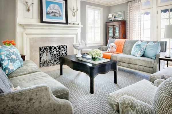 Transitional Living Room by Martha O'Hara Interiors