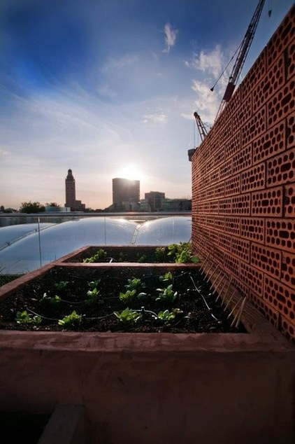 Modern Deck by Urban Roof Gardens