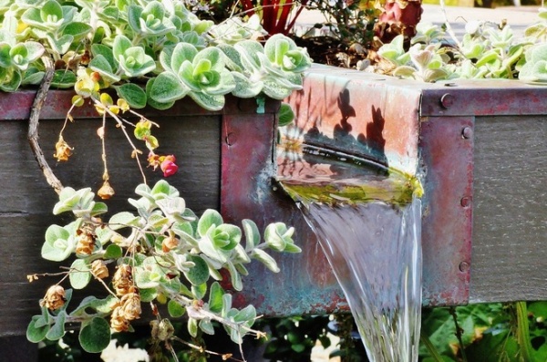 Mediterranean Landscape by Sage Ecological Landscapes and Nursery