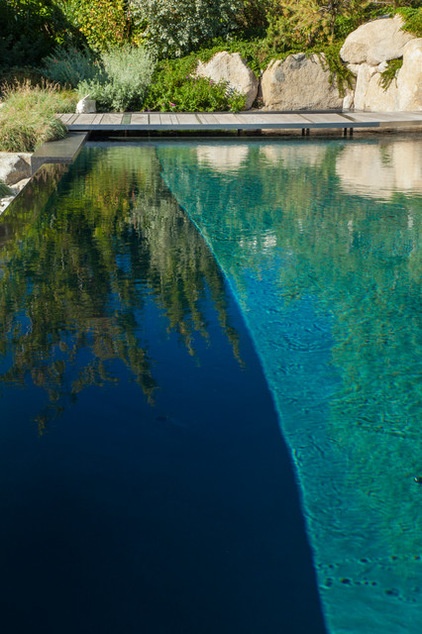 Beach Style Pool by Paul R Broadhurst + Associates