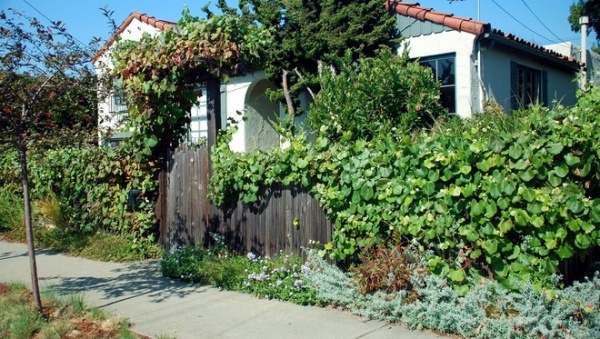 Mediterranean Landscape by Pete Veilleux, East Bay Wilds